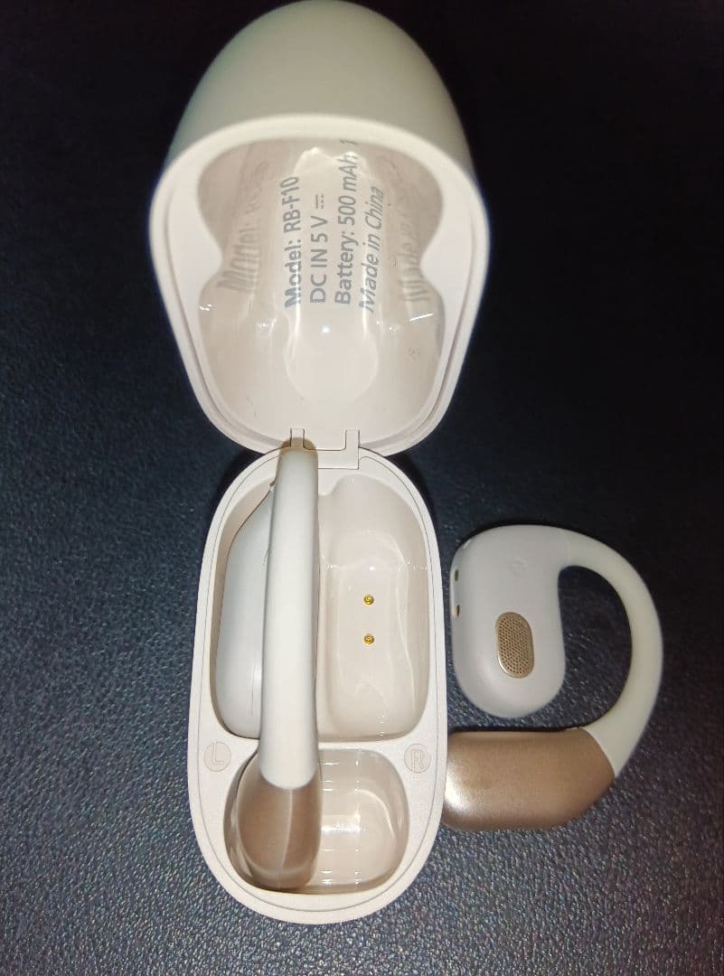 Panasonic Wireless Earphones Rb F10 Dc C