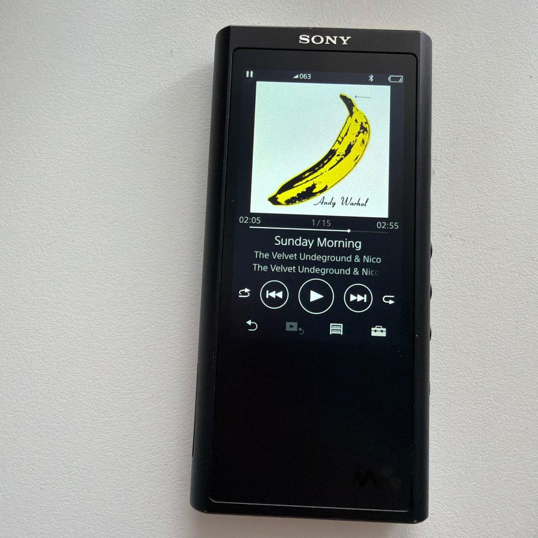 Digital Audio Players Sony Nw Zx300