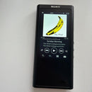 Digital Audio Players Sony Nw Zx300