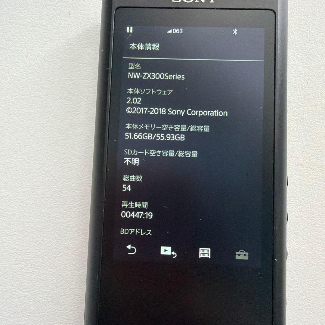 Digital Audio Players Sony Nw Zx300