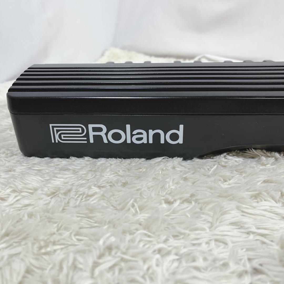 Roland Keyboards Digital Pianos Go-61P 61 Gopiano