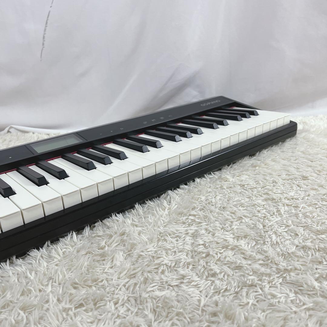 Roland Keyboards Digital Pianos Go-61P 61 Gopiano
