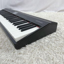 Roland Keyboards Digital Pianos Go-61P 61 Gopiano