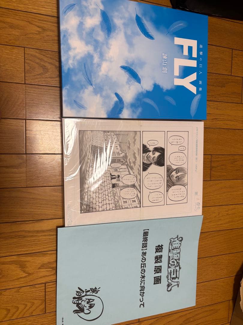 Illustration Collections Fly