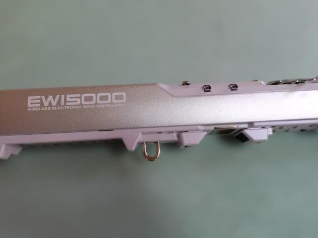 Other Akai Professional Ewi5000Ws
