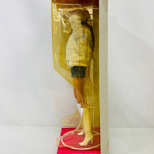 Others 1/6 Sekiguchi Momoko Doll Petworks Wild Sexy Tune