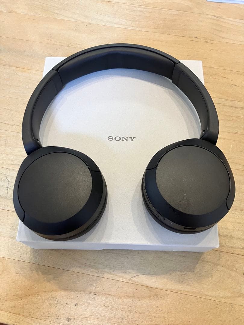 Sony Wireless Headphones Wh-Ch520