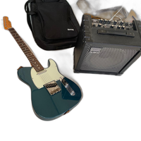 Roland Electric Guitar
