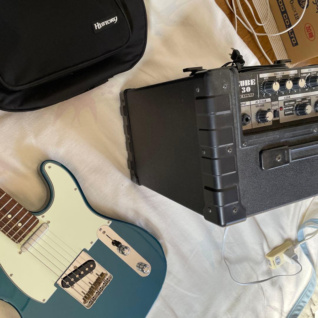 Roland Electric Guitar