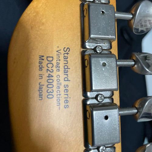 Roland Electric Guitars History