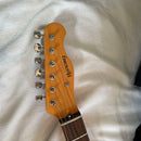 Roland Electric Guitar