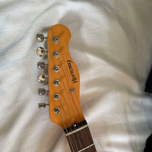 Roland Electric Guitar