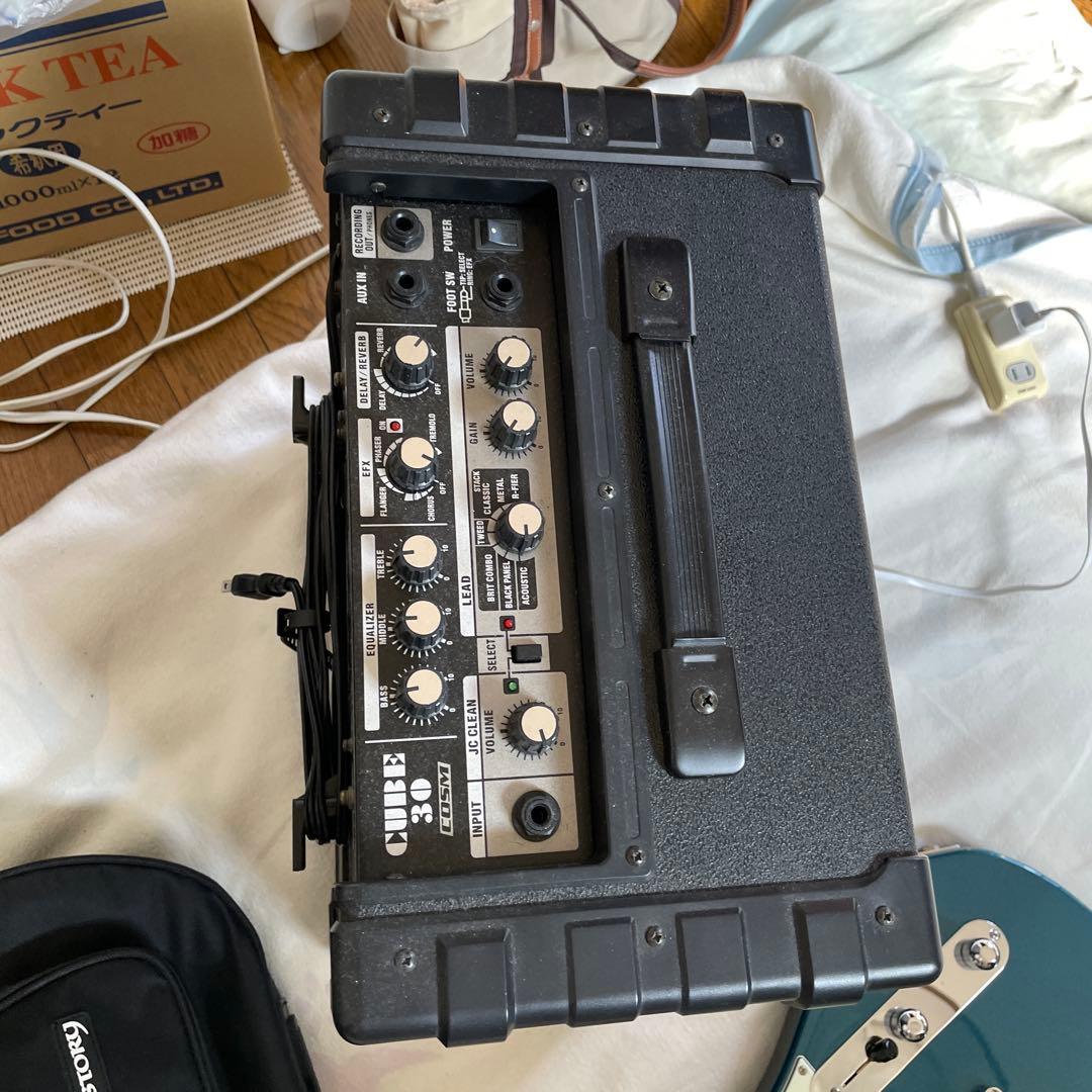Roland Electric Guitar