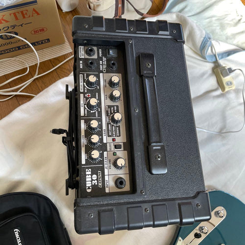 Roland Electric Guitar