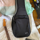 Roland Electric Guitar