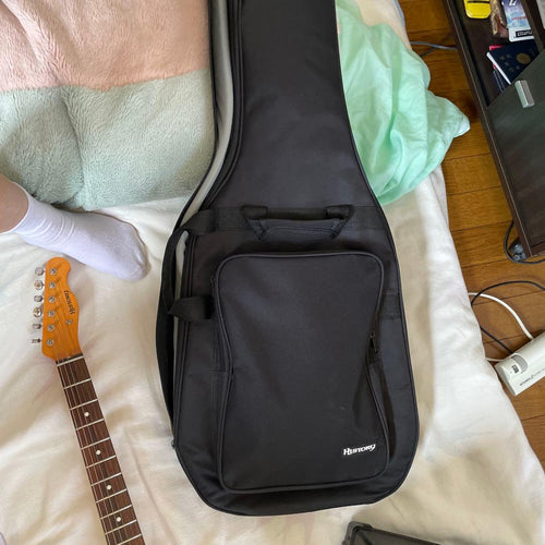 Roland Electric Guitar