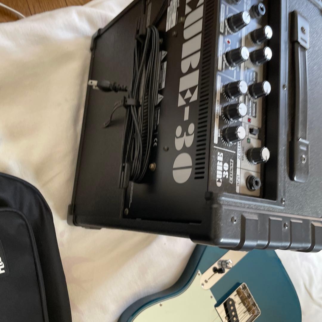 Roland Electric Guitar