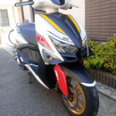 Yamaha Motorcycle Body 4900