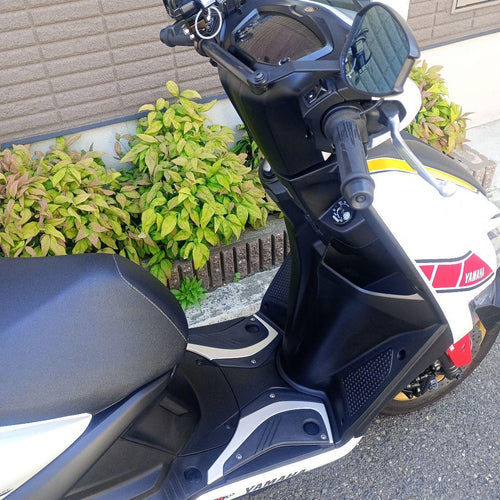 Yamaha Motorcycle Body 4900