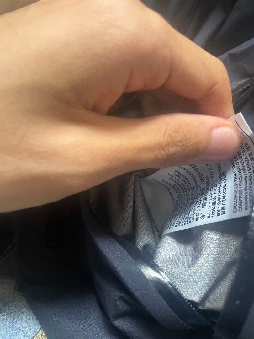 Arc'Teryx Mountain Parkas Beta Lt