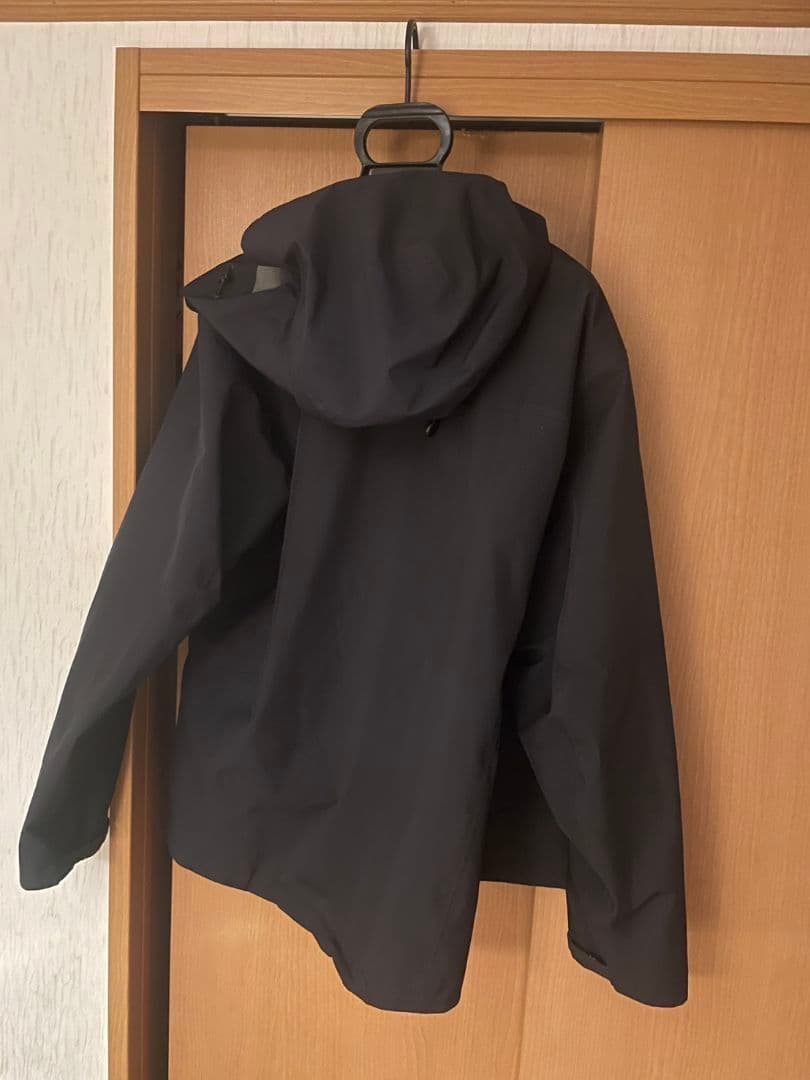 Arc'Teryx Mountain Parkas Beta Lt