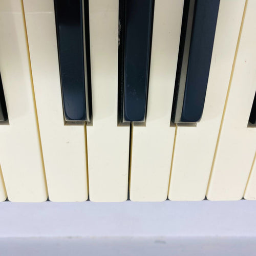 Roland Midi Keyboard Pad A-90 Ve-Rd1