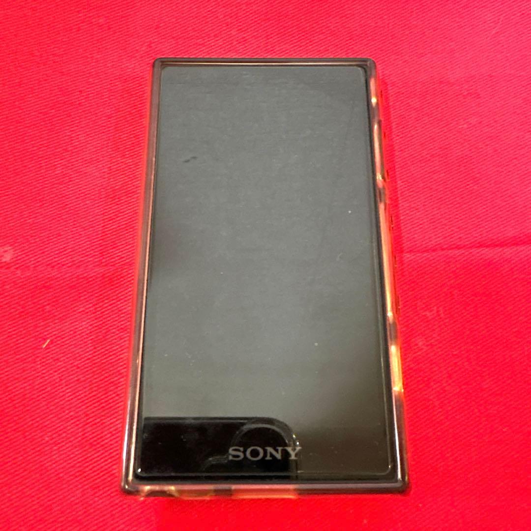 Sony Digital Audio Player Nw-A107-B