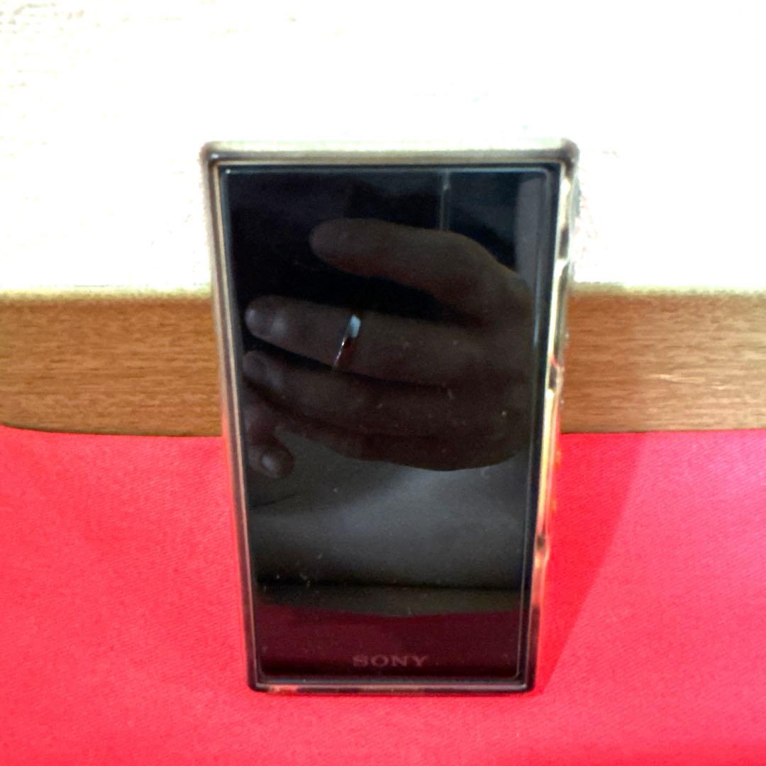 Sony Digital Audio Player Nw-A107-B