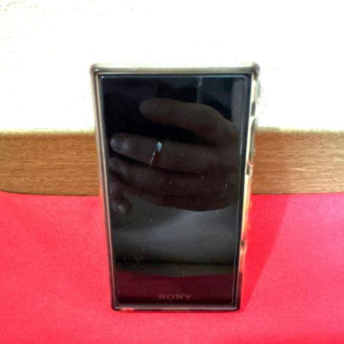 Sony Digital Audio Player Nw-A107-B