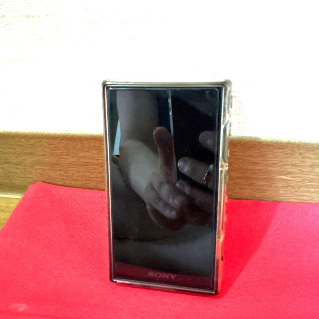 Sony Digital Audio Player Nw-A107-B