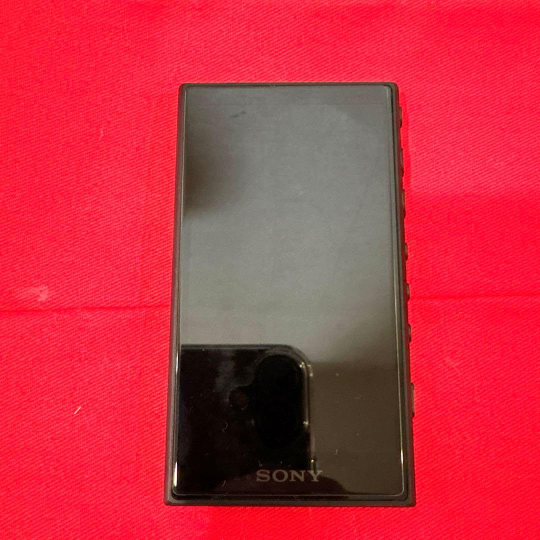 Sony Digital Audio Player Nw-A107-B