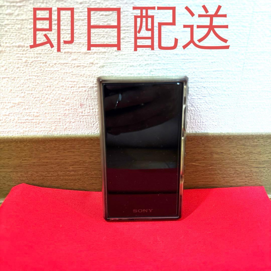 Sony Digital Audio Player Nw-A107-B