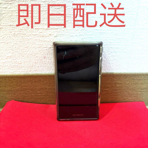 Sony Digital Audio Player Nw-A107-B