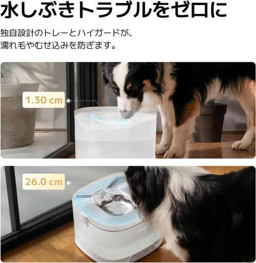 Water Dispensers Cheerble D1 Pro 4L