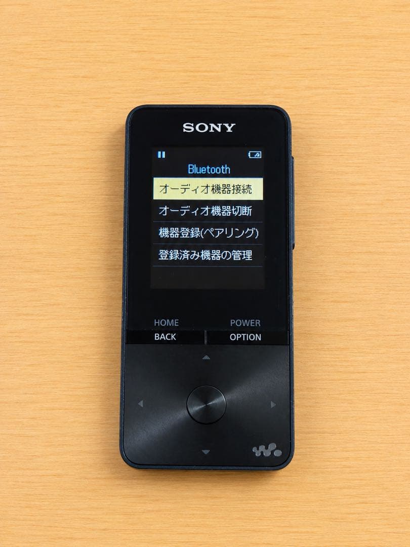 Sony Mobile Digital Audio Players S 4Gb Nw-S313/