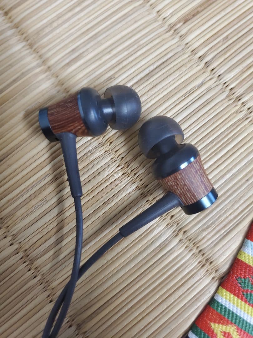 Wired Earphones Jvc Ha Fw7-B