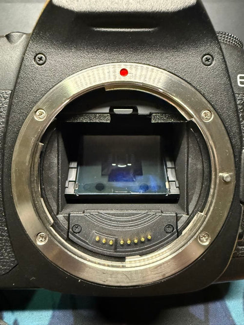 Canon Digital Slrs Eos 5D Mark Ii