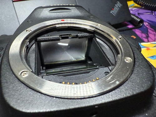 Canon Digital Slrs Eos 5D Mark Ii