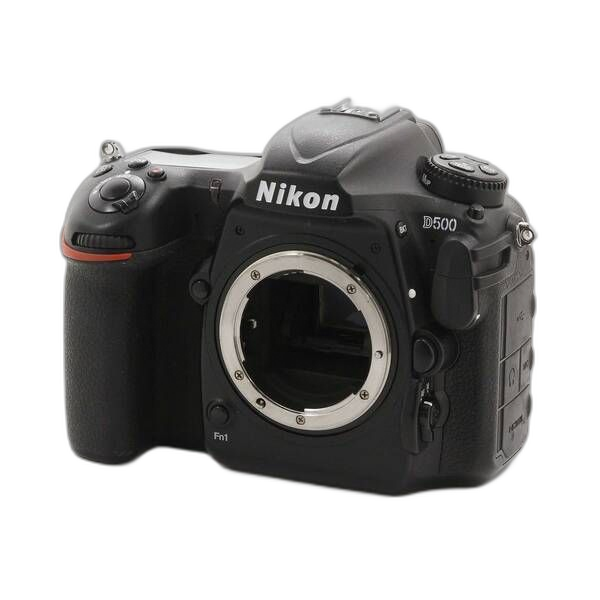 Nikon Digital Slr D500 198