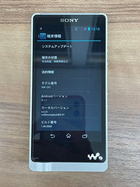 Sony Digital Audio Players Walkman Nw-Zx1 128Gb