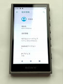 Sony Digital Audio Players Nw-A106 32Gb Black