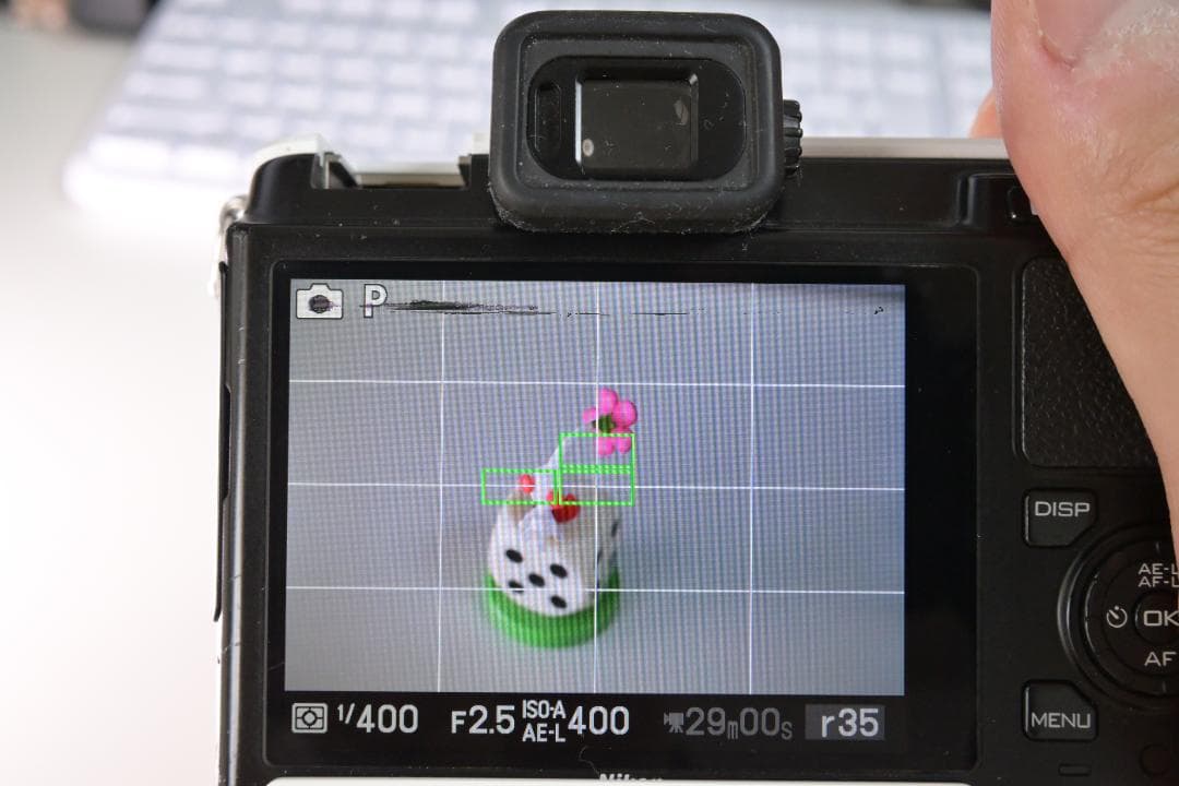 Nikon Mirrorless Interchangeable Lips 1 V1