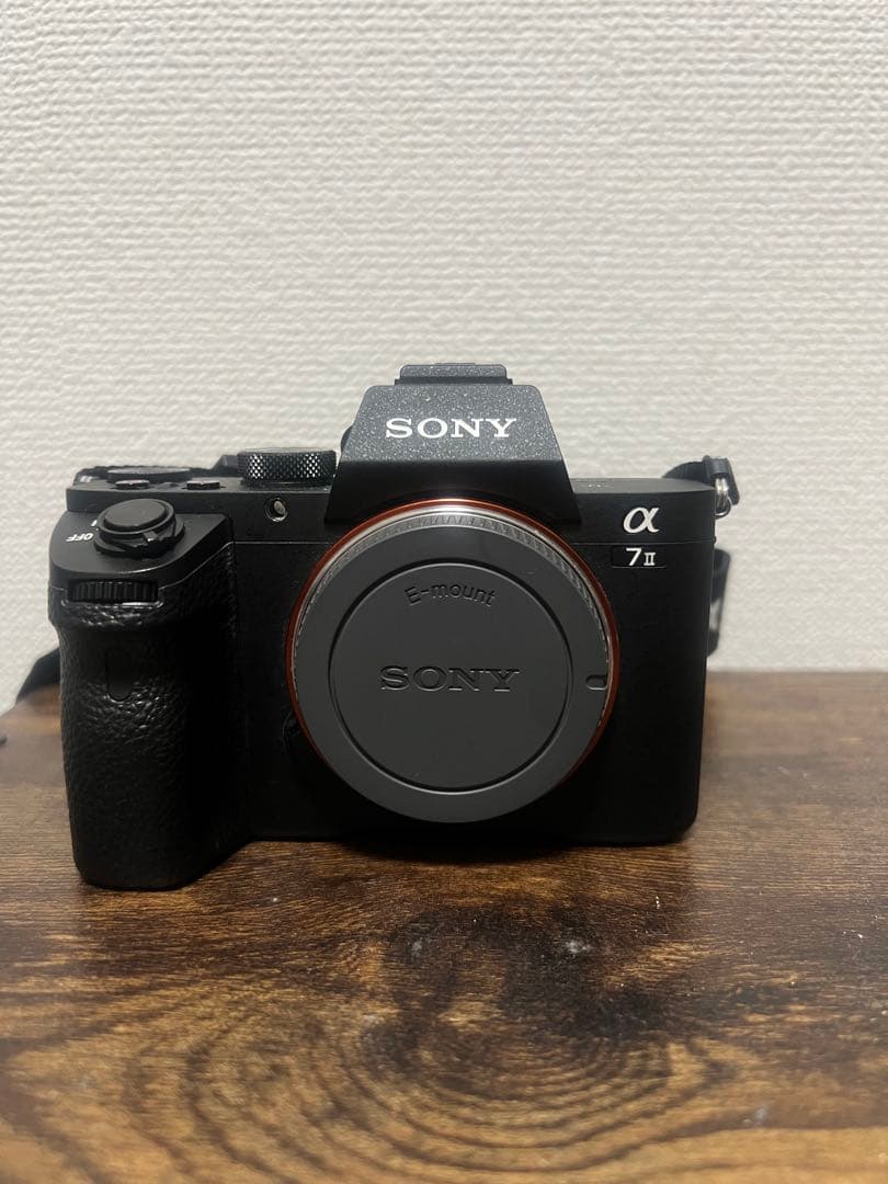 Sony Mirrorless Interchangeable Lips 7 Ii