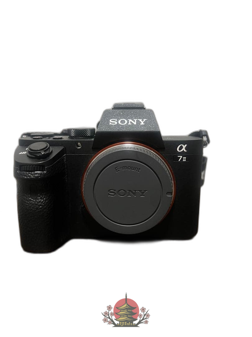 Sony Mirrorless Interchangeable Lips 7 Ii
