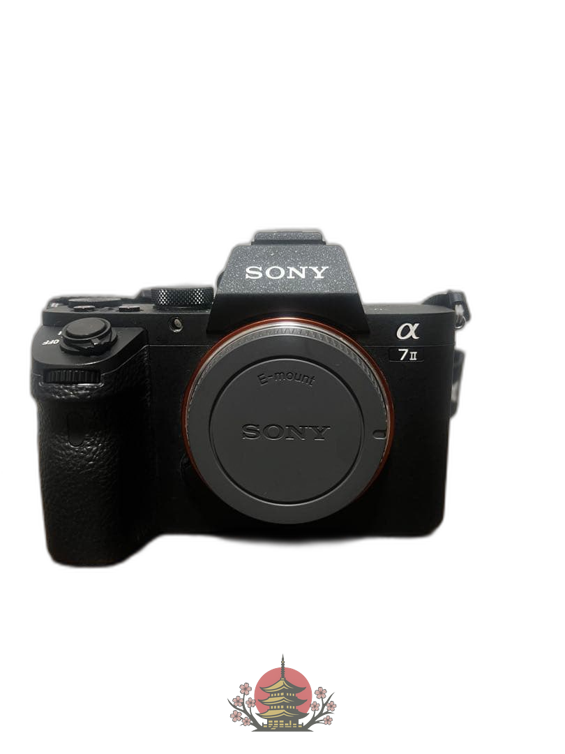 Sony Mirrorless Interchangeable Lips 7 Ii