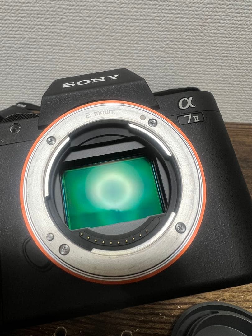 Sony Mirrorless Interchangeable Lips 7 Ii