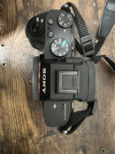 Sony Mirrorless Interchangeable Lips 7 Ii