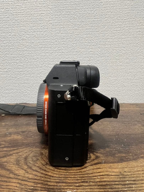 Sony Mirrorless Interchangeable Lips 7 Ii