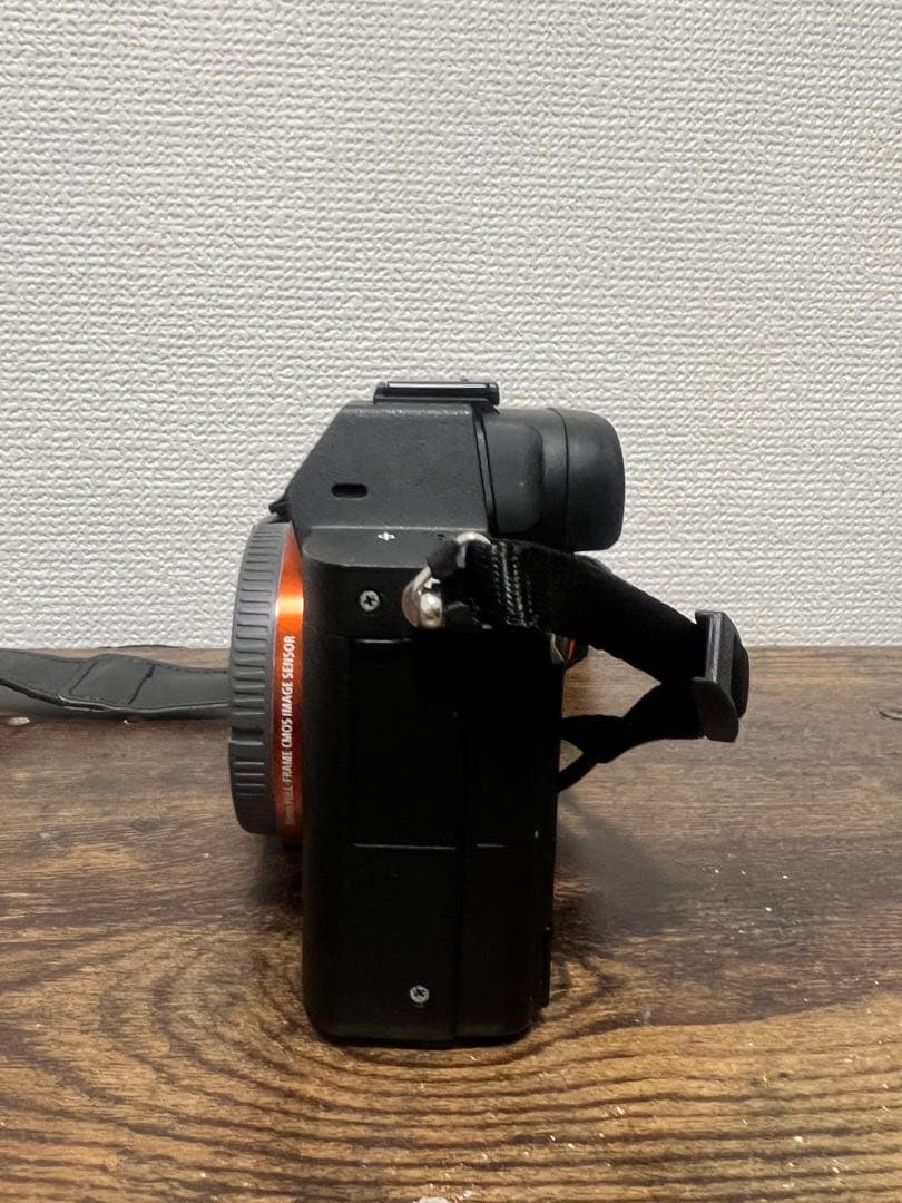 Sony Mirrorless Interchangeable Lips 7 Ii
