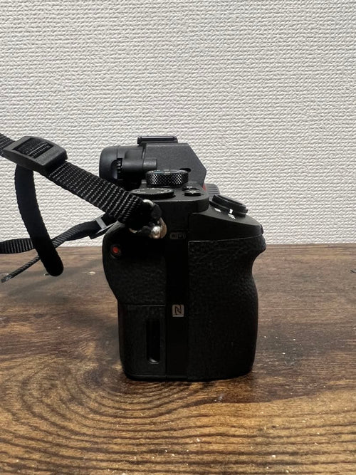 Sony Mirrorless Interchangeable Lips 7 Ii